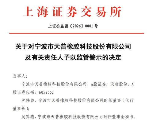 AI軟件開發公司突遭證監會立案調查，行業監管風暴或將開啟